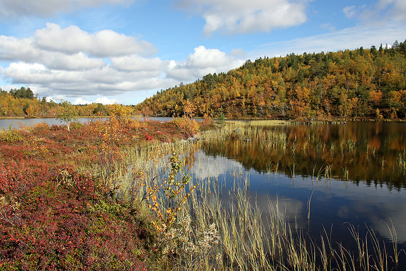 Rando lac Teukkajärvi
