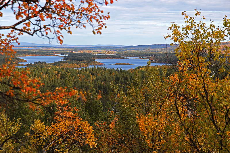 Rando Jierivaara