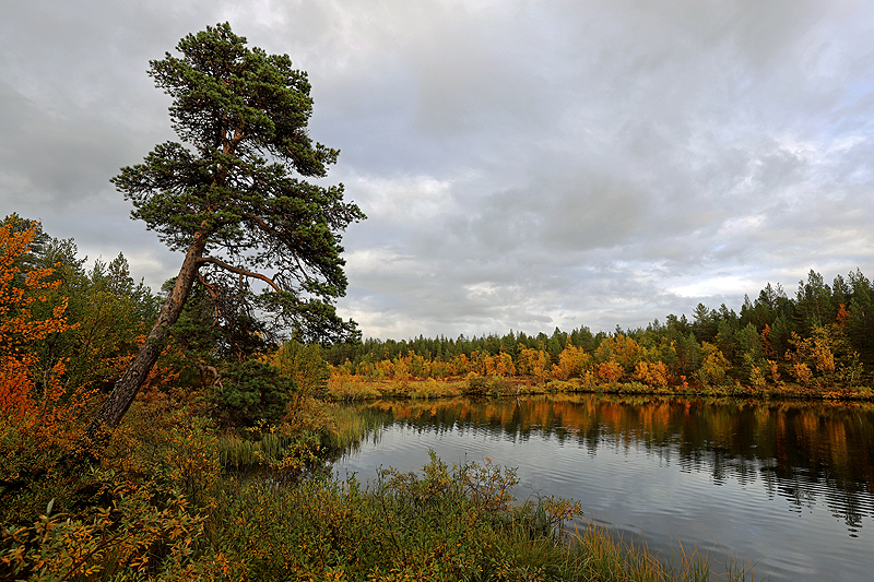 Lac [q]Iso Kieppisjärvi[q]
