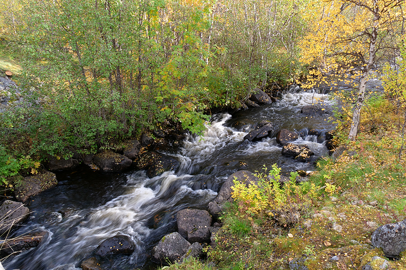 Rando Jierivaara