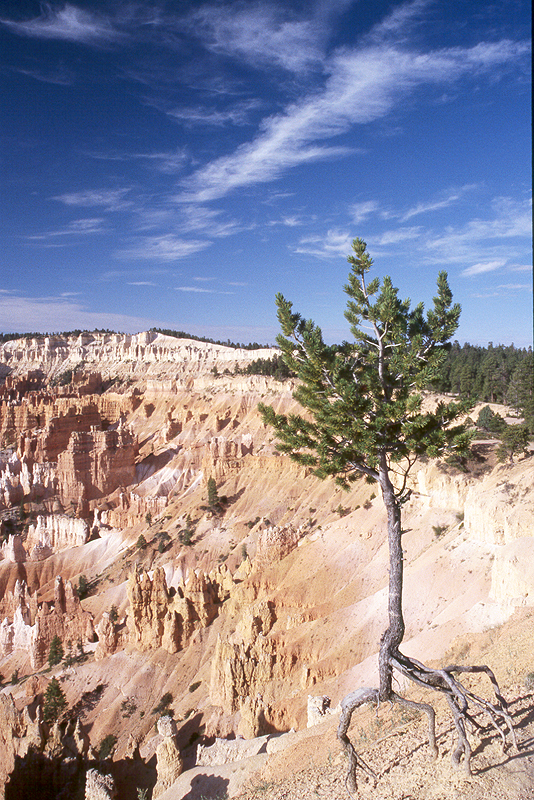 Bryce Canyon