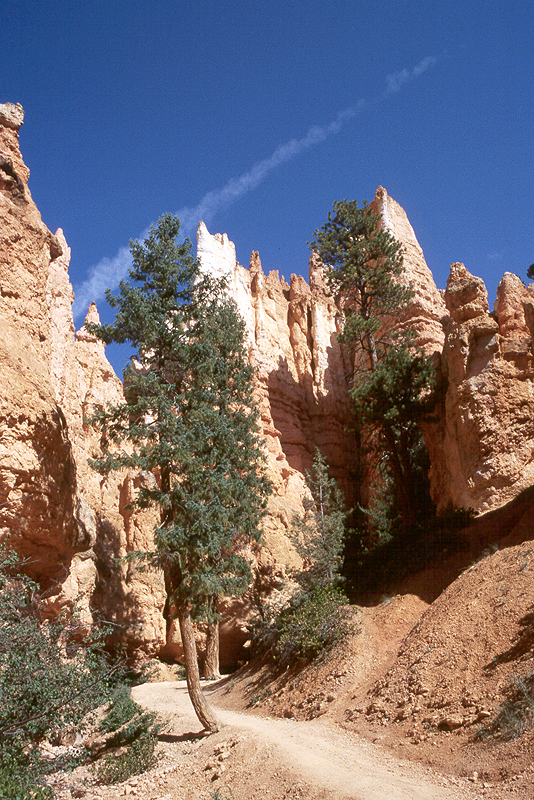 Bryce Canyon