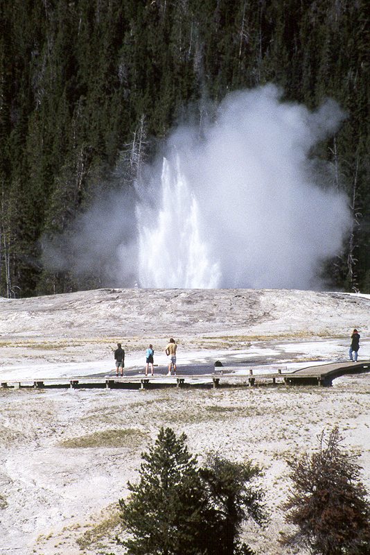 Yellowstone