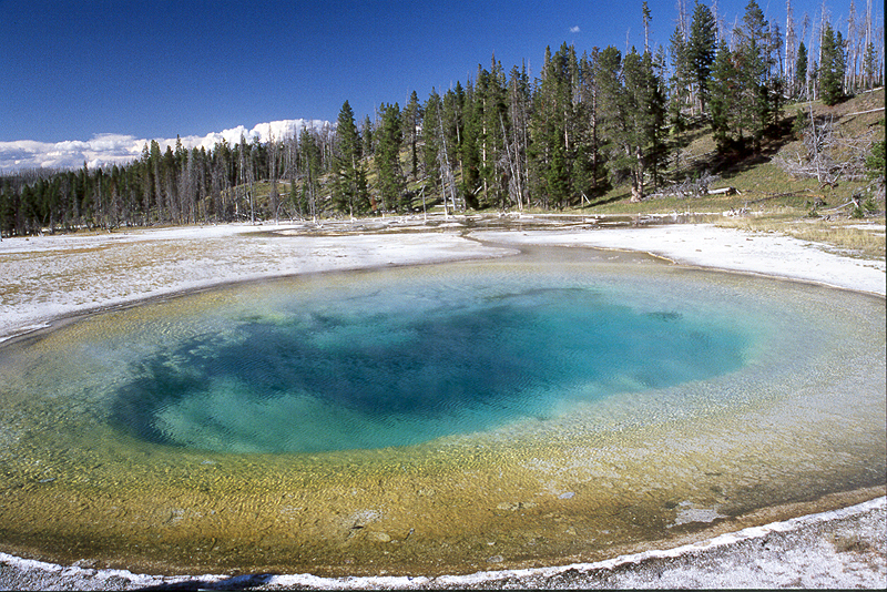 Yellowstone