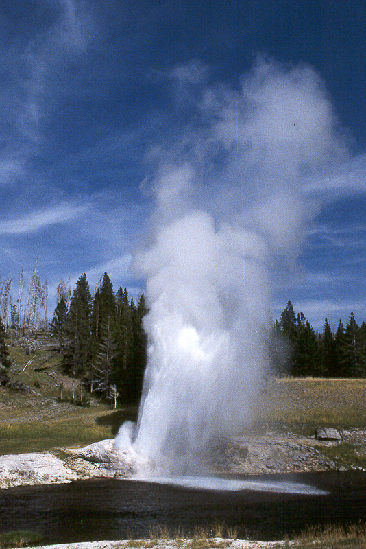 Yellowstone