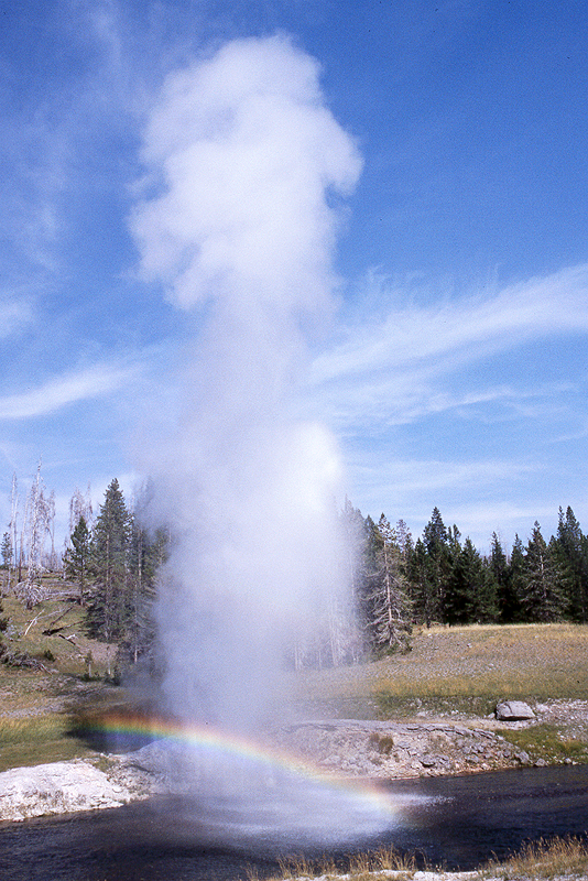 Yellowstone