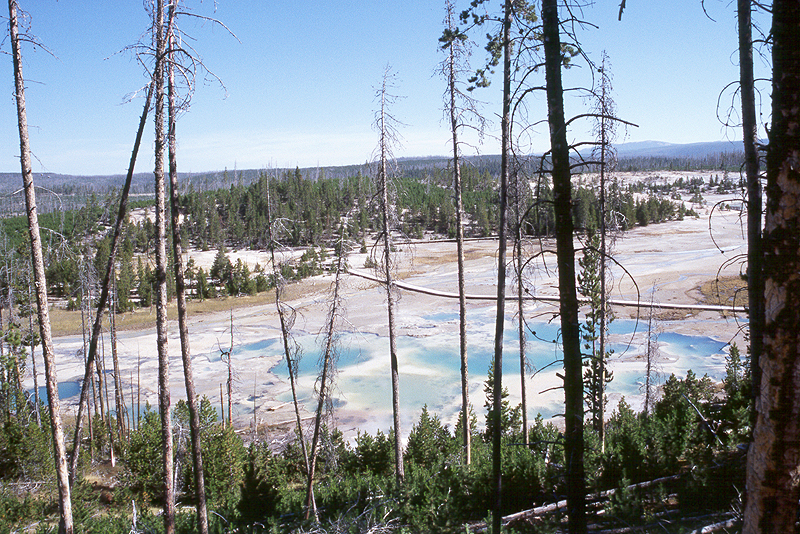 Yellowstone