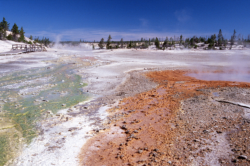 Yellowstone