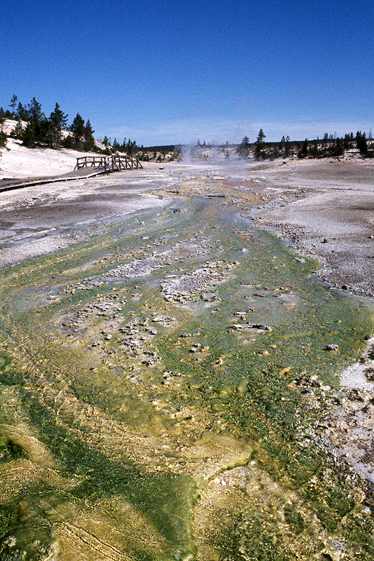 Yellowstone