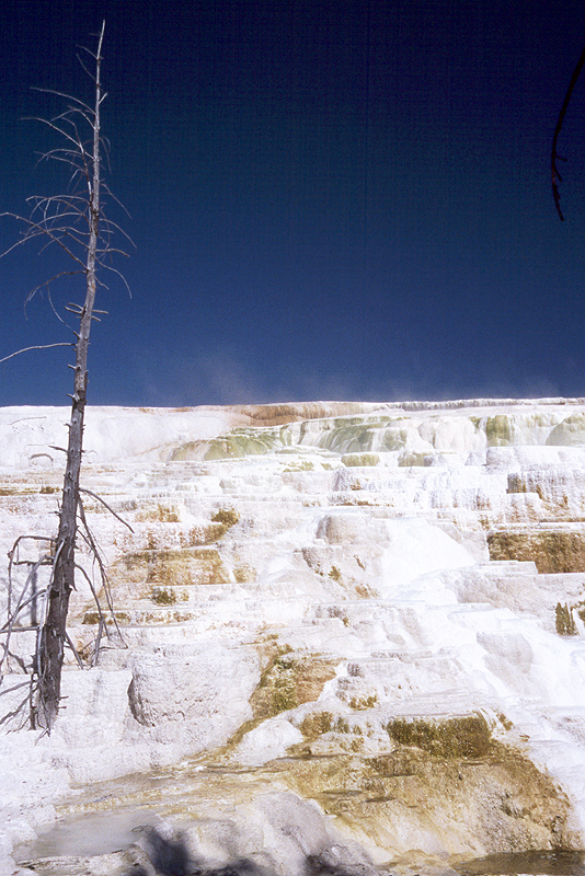Yellowstone