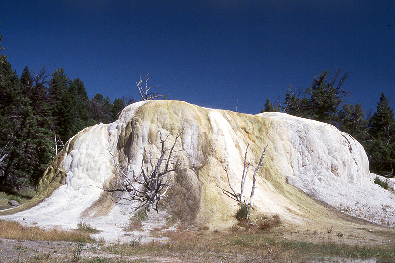 Yellowstone
