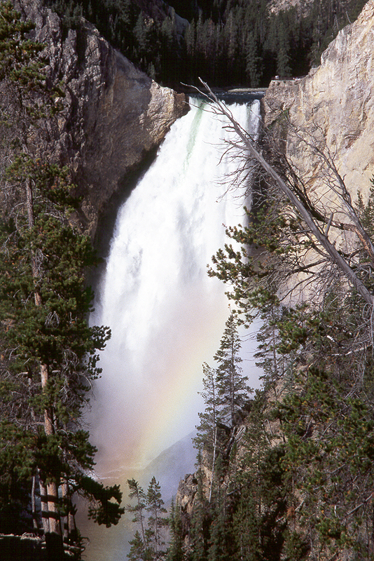 Yellowstone