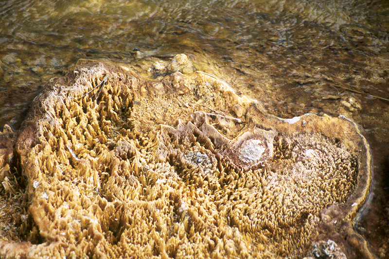 Yellowstone