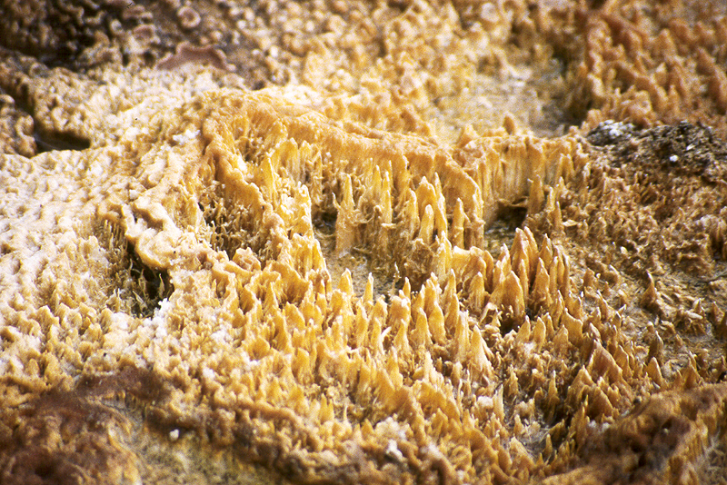 Yellowstone