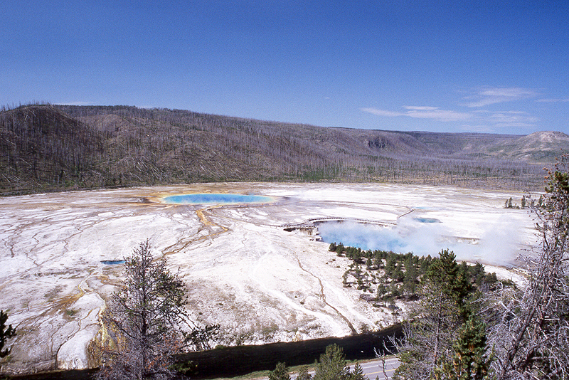 Yellowstone