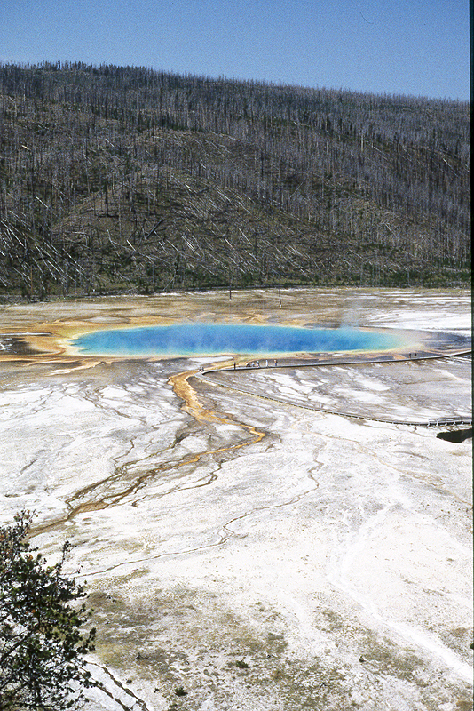 Yellowstone