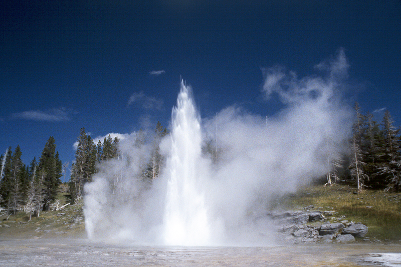 Yellowstone