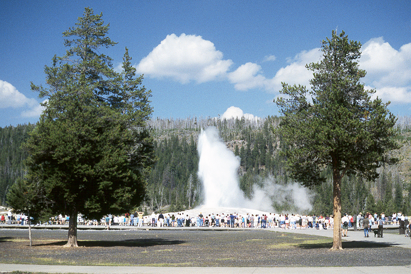 Yellowstone