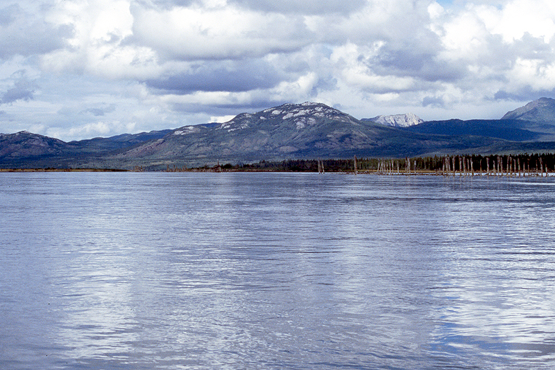 [q]Yukon River[q]