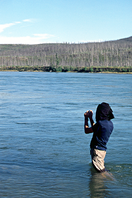 [q]Yukon River[q] - Km 207