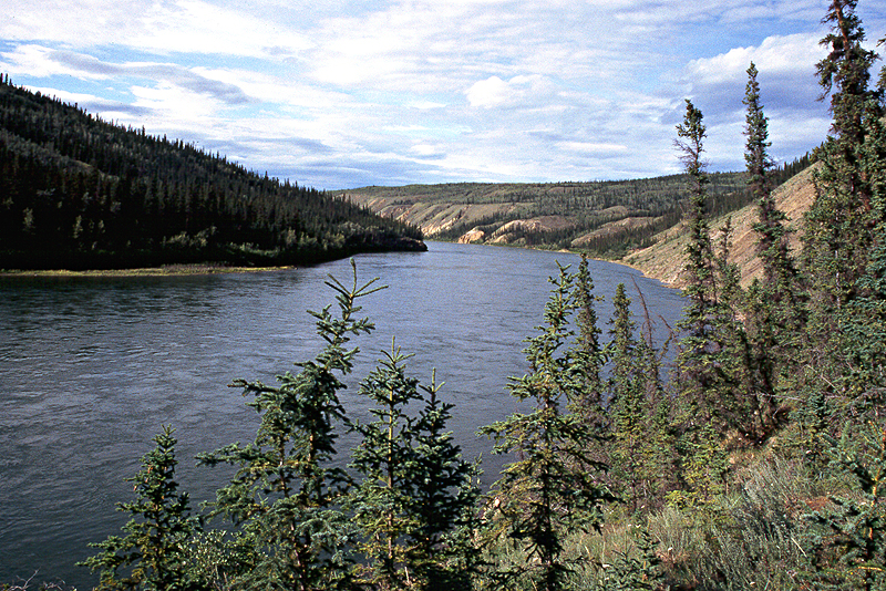 [q]Yukon River[q] - Km 329