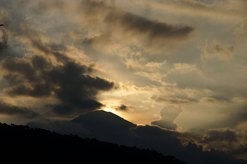 Amed