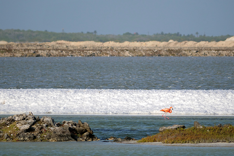Environs de [q]Salt Pier[q]