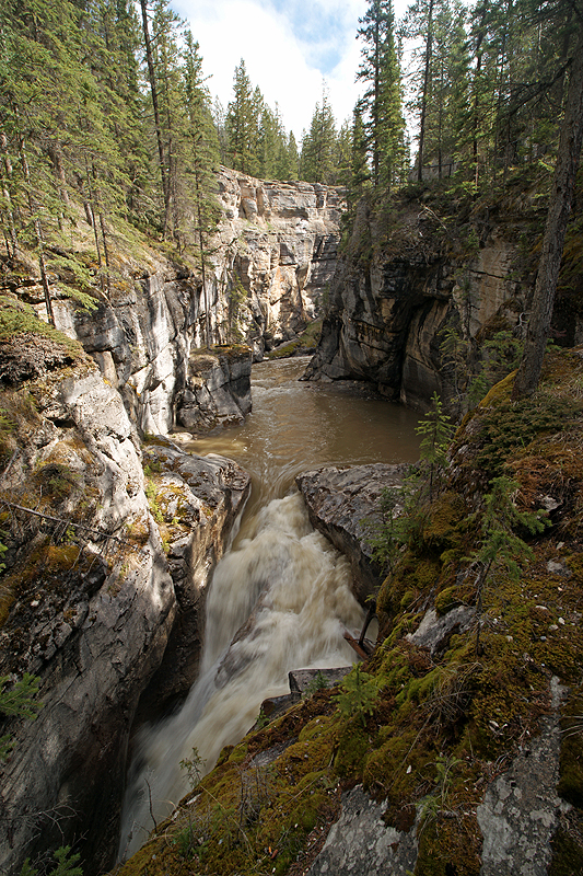 Canyon Maligne