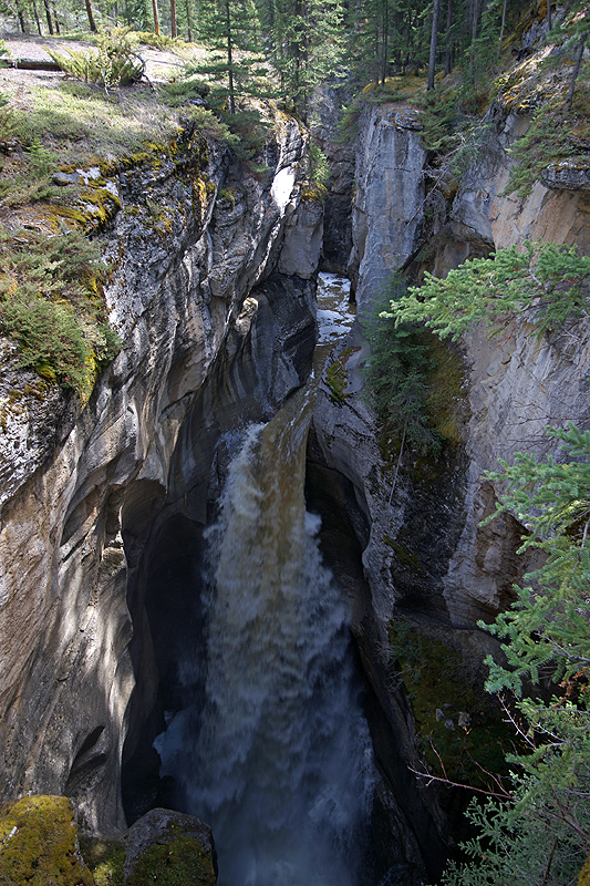 Canyon Maligne