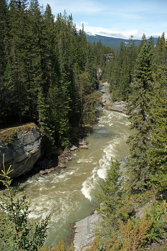Canyon Maligne
