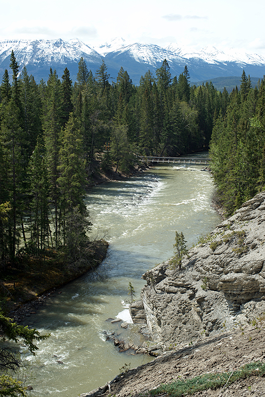 Canyon Maligne