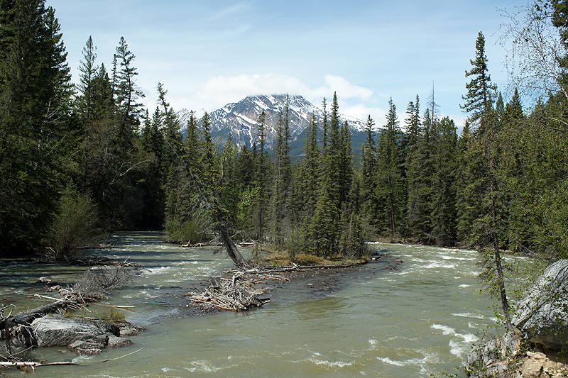 Canyon Maligne