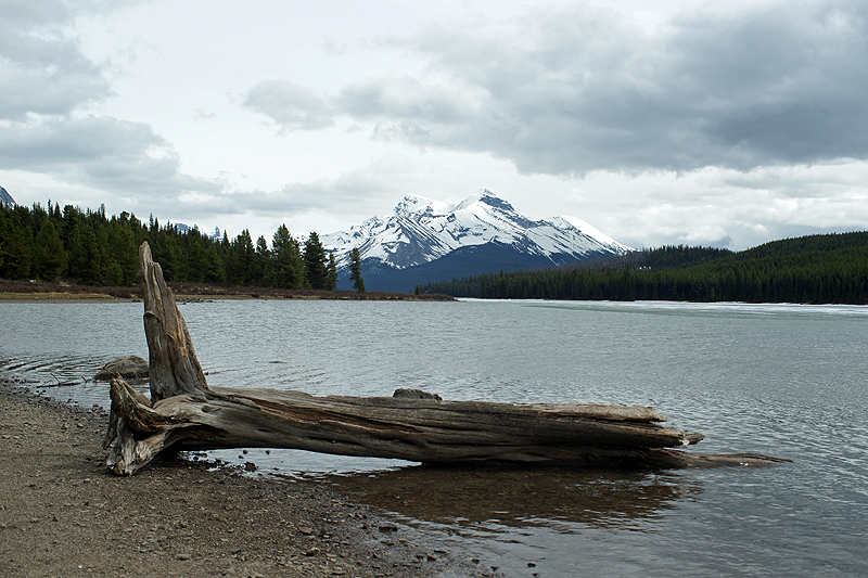 Lac Maligne