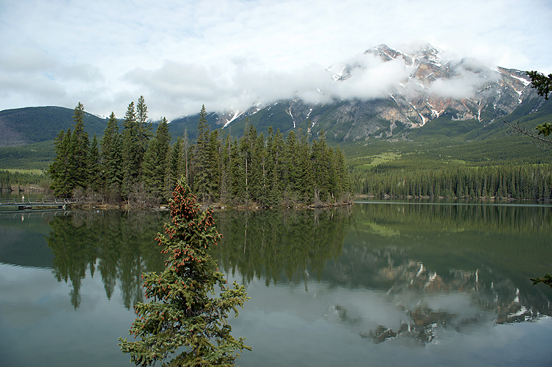 Environs de Jasper