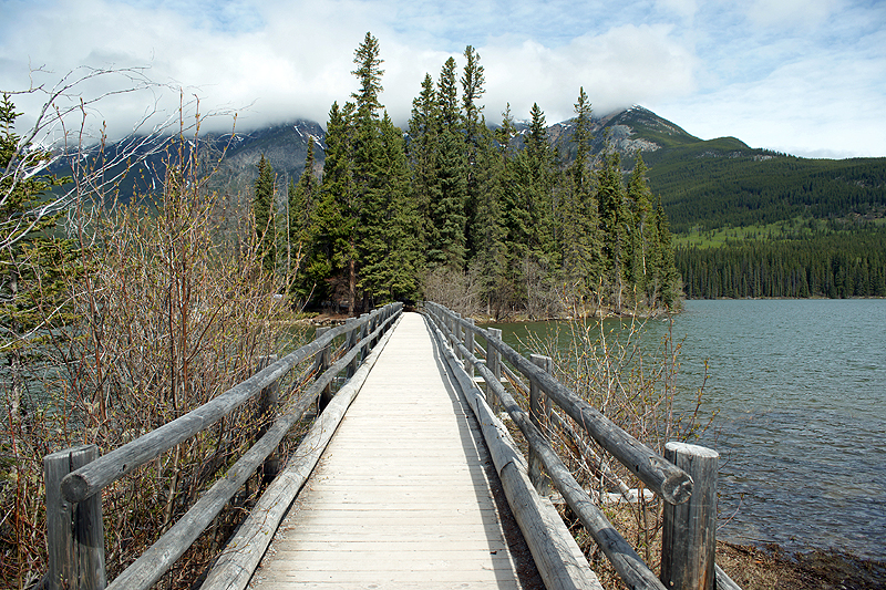 Environs de Jasper