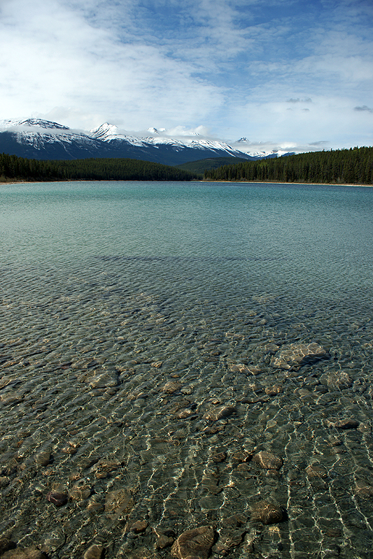 Environs de Jasper