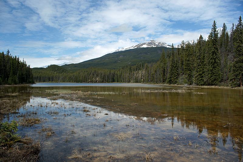 Environs de Jasper