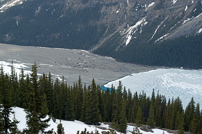 Promenade des glaciers