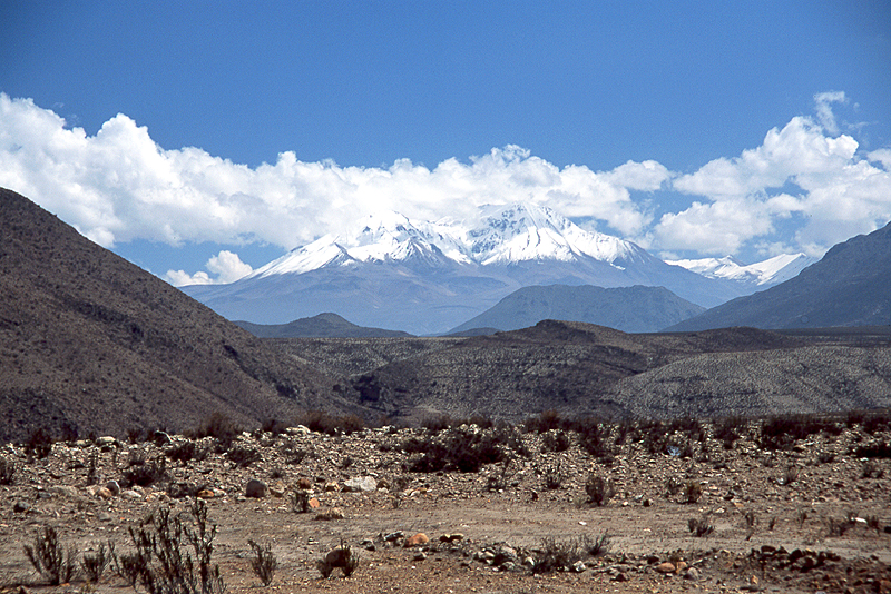 Lauca
