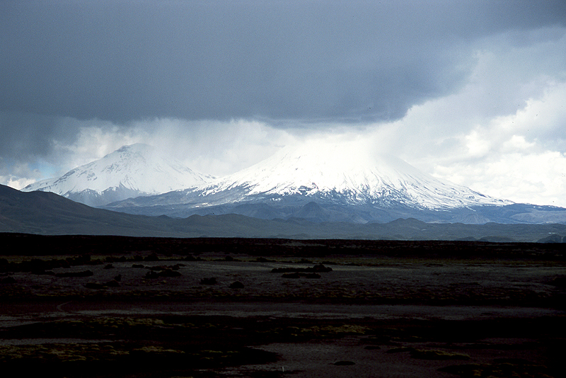 Lauca