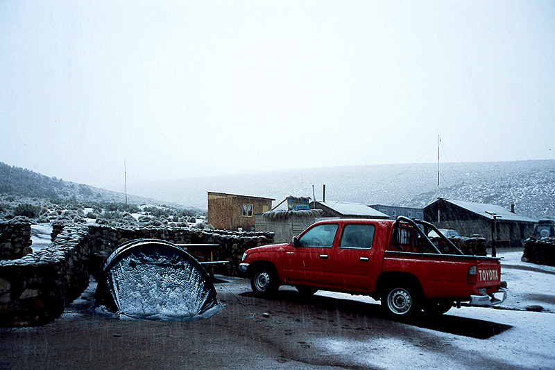 Lauca