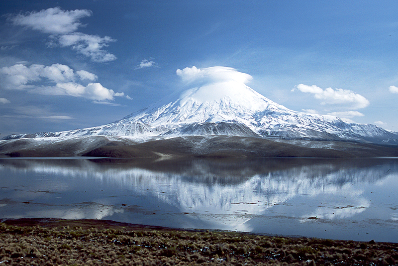 Lauca