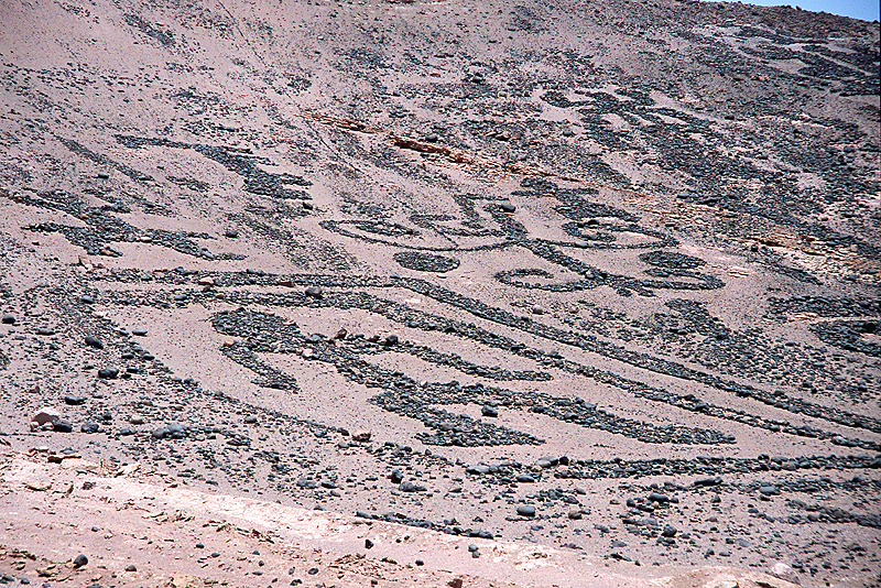 Arica