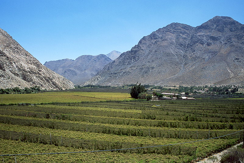 Vallée de l Elqui