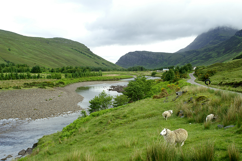 Highlands