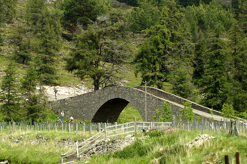 Cairngorms