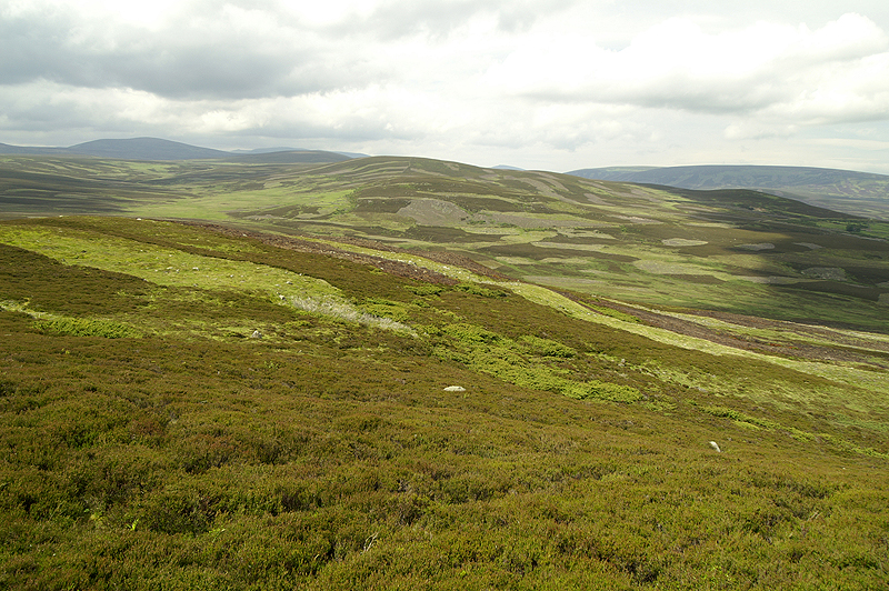 Cairngorms