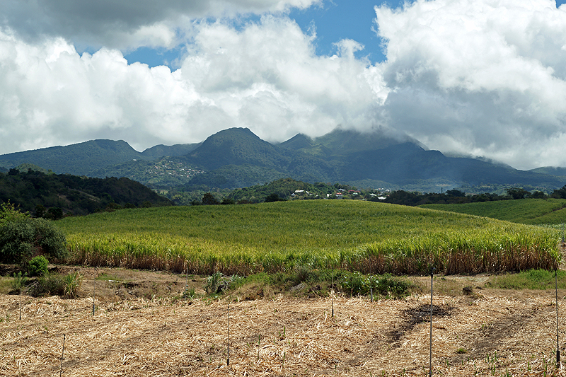 Basse-Terre