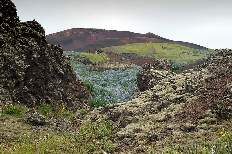 L île d Heimaey - Vestmannaeyjar