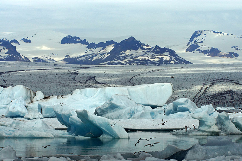 Lagune glaciaire de Jökulsárlón